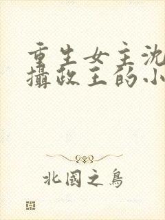 重生女主沈鸾和摄政王的小说