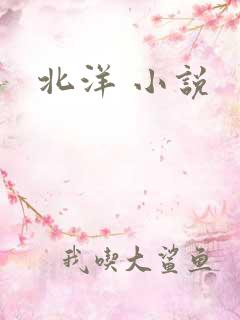 北洋 小说