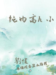 纯肉高h 小说