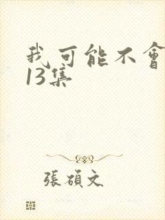 我可能不会爱你13集