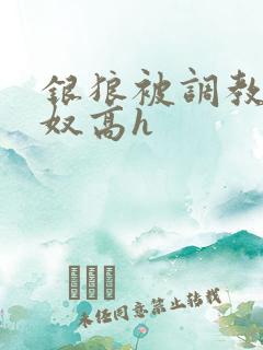 银狼被调教成肉奴高h