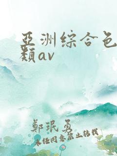 亚洲综合色区另类av