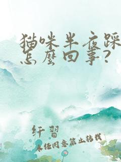 猫咪半夜踩奶是怎么回事?