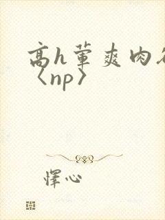 高h荤爽肉欲文〈np〉