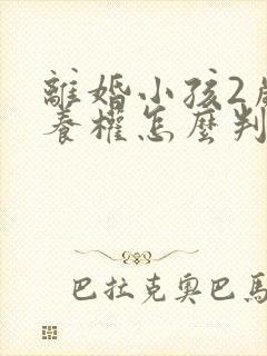 离婚小孩2岁抚养权怎么判