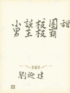 小说校园甜宠文男主校霸