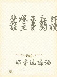 裴辉丞许舒意小说免费阅读最新章节