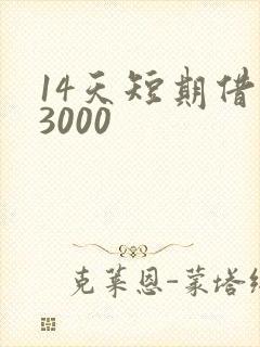 14天短期借款3000