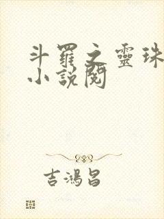 斗罗之灵珠神剑小说阅