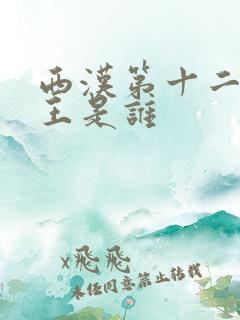 西汉第十二位帝王是谁