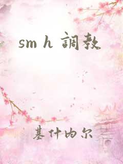 sm h 调教