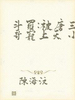 斗罗:被唐三哥哥宠上天 小说完整