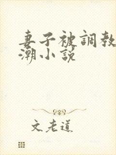 妻子被调教到高潮小说