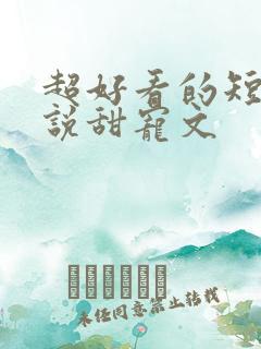 超好看的短篇小说甜宠文