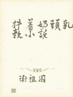 拧着奶头乳夹调教小说