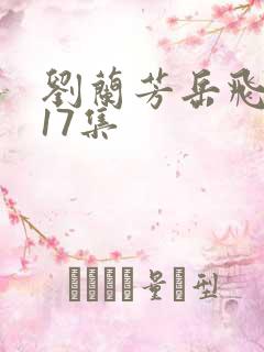 刘兰芳岳飞传117集