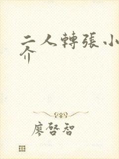 二人转张小光简介