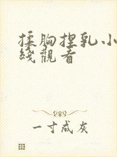 揉胸捏乳小说在线观看