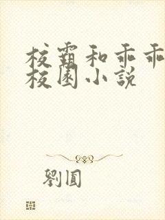 校霸和乖乖女的校园小说