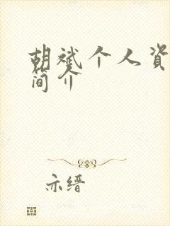 胡斌个人资料及简介