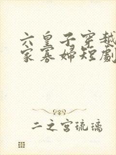 六皇子穿越遇苏家寡妇短剧