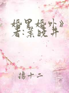婚里婚外》 作者:叶晓井