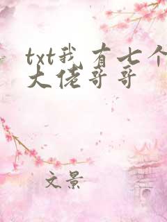 txt我有七个大佬哥哥