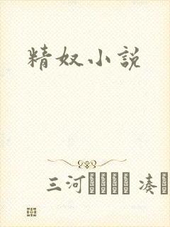 精奴小说