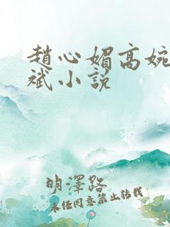 赵心媚高婉君陈斌小说