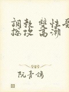 调教 双性受 总攻 高潮