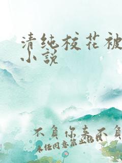 清纯校花被调教小说