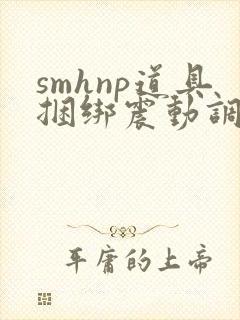 smhnp道具捆绑震动调教口一女多男文