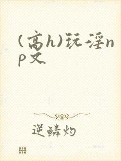 (高h)玩淫np文