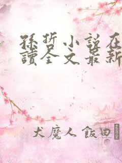 孙哲小说在线阅读全文最新