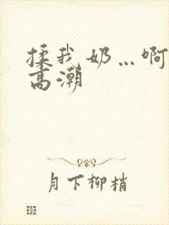 揉我奶…啊…嗯高潮