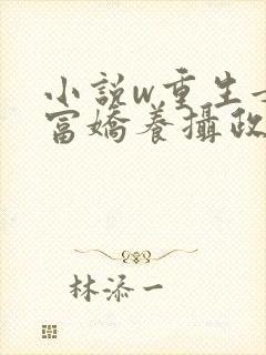 小说w重生女首富娇养摄政王》