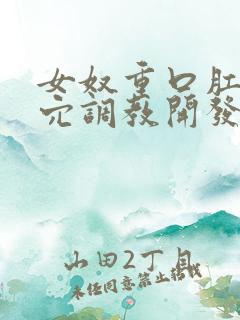 女奴重口肛门双穴调教开发小说