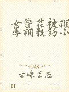 女警花被捆绑屈辱调教的小说