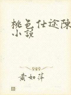 桃色仕途陈斌的小说