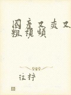 国产又爽又黄又粗视频