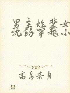 男主姓裴女主姓沈的穿越小说