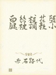 白丝校花堕落玉腿被调教小说