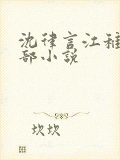 沈律言江稚是哪部小说