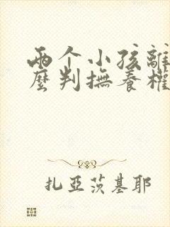 两个小孩离婚怎么判抚养权