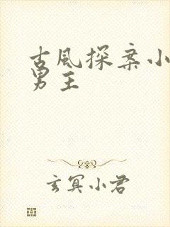 古风探案小说双男主