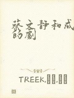 蔡文静和成毅演的剧