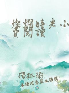 灿烂时光小说免费阅读