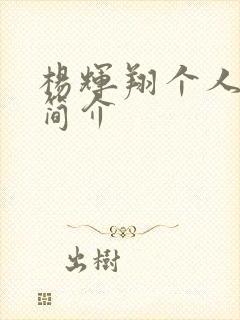 杨辉翔个人资料简介