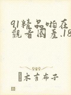 91精品啪在线观看国产.18