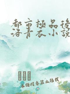 都市极品后宫 洛青衣小说